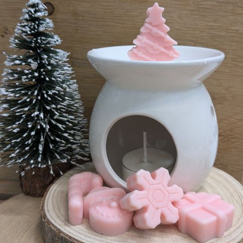 Festive Fig & Snowberry Wax Melts & Burner Gift Set