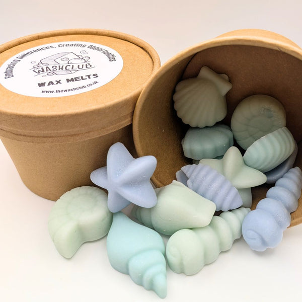 Sage & Sea Salt Wax Melt Tub (100g) By Thriftwood